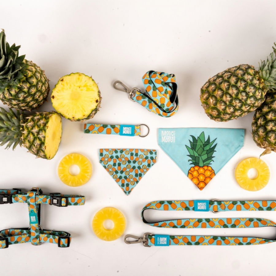 Sweet Pineapple – Krátke vodítko