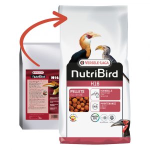 VERSELE-LAGA NutriBird H16 - celoročné extrudy pre zoborožce a veľké ovocnomilné druhy vtákov 10 kg