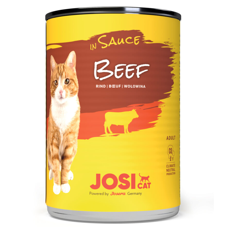 Josicat Beef in Sauce 415g