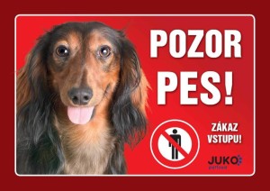 Ceduľka plast POZOR PES - Jazvečík dlhosrstý hnedý