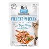 Brit Care Cat JELLY morka a krevety 85g