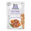 Brit Care Cat Kitten JELLY Losos 85g