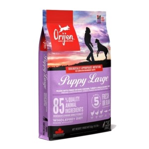 ORIJEN Puppy Large 11,4 kg