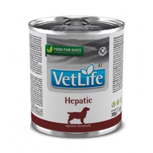 Brit Veterinary Diets GF dog Gastrointestinal 12 kg