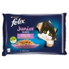 FELIX Fantastic JUNIOR Multipack 12(4x85g) - kura/losos v želé