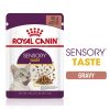 FHN Sensory Taste gravy