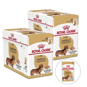 Royal Canin Dachshund mousse 24 x 85 g