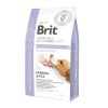 Brit Veterinary Diets GF dog Gastrointestinal 2 kg