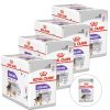 Royal Canin Sterilised Dog Loaf 48 x 85 g