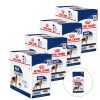 Royal Canin Maxi Adult 40 x 140 g