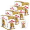 Royal Canin Yorkshire 48 x 85 g