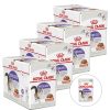 Royal Canin Sterilised Gravy 48 x 85 g