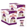 Royal Canin Sensory Smell gravy 24 x 85 g