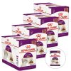 Royal Canin Sensory Smell gravy 48 x 85 g