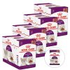 Royal Canin Sensory Feel gravy 48 x 85 g