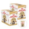 Royal Canin Maine Coon 24 x 85 g