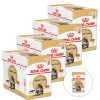 Royal Canin Maine Coon 48 x 85 g