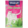 vitakraft cat grass