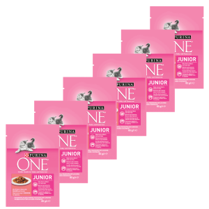 PURINA ONE JUNIOR mini filetky s lososom a mrkvou v šťave 85 g