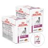 ROYAL CANIN VHN DOG EARLY RENAL Kapsičky 24 x 100 g