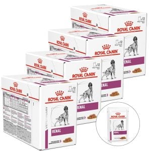 ROYAL CANIN VHN DOG RENAL Kapsičky 48 x 100 g