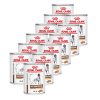 ROYAL CANIN Gastrointestinal HIGH FIBRE konzerva 12 x 410 g