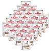 ROYAL CANIN Gastrointestinal HIGH FIBRE konzerva 24 x 410 g