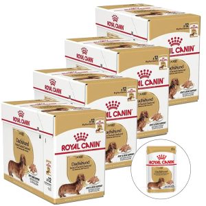 Royal Canin Dachshund mousse 48 x 85 g